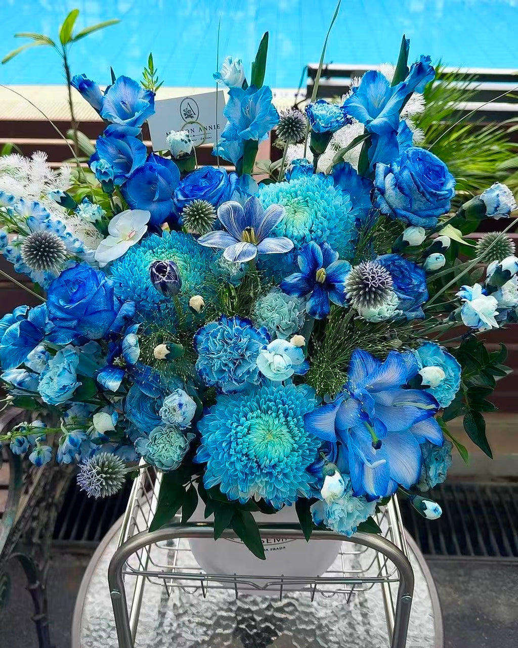 Blue Infinity