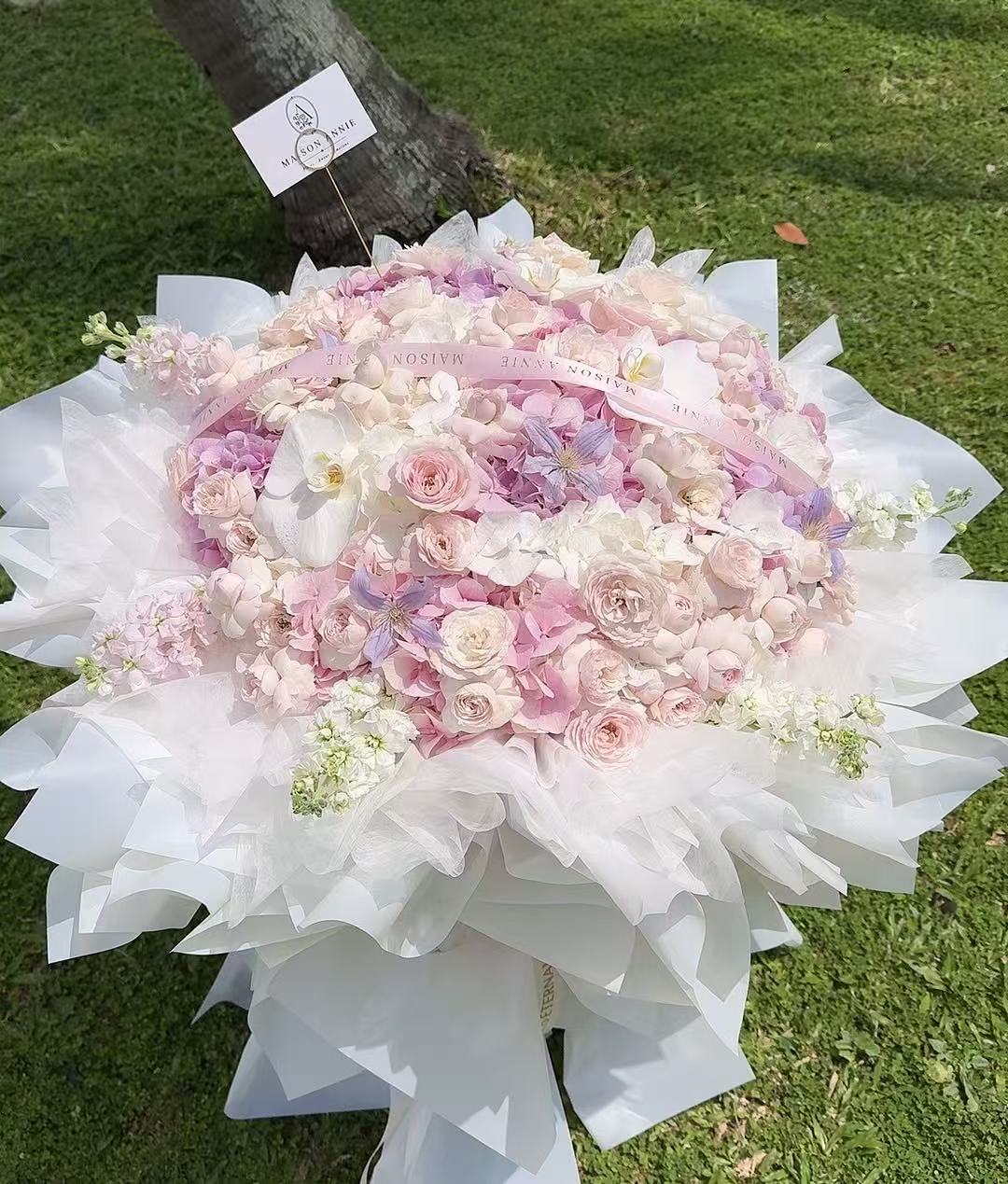 Blush Éclat