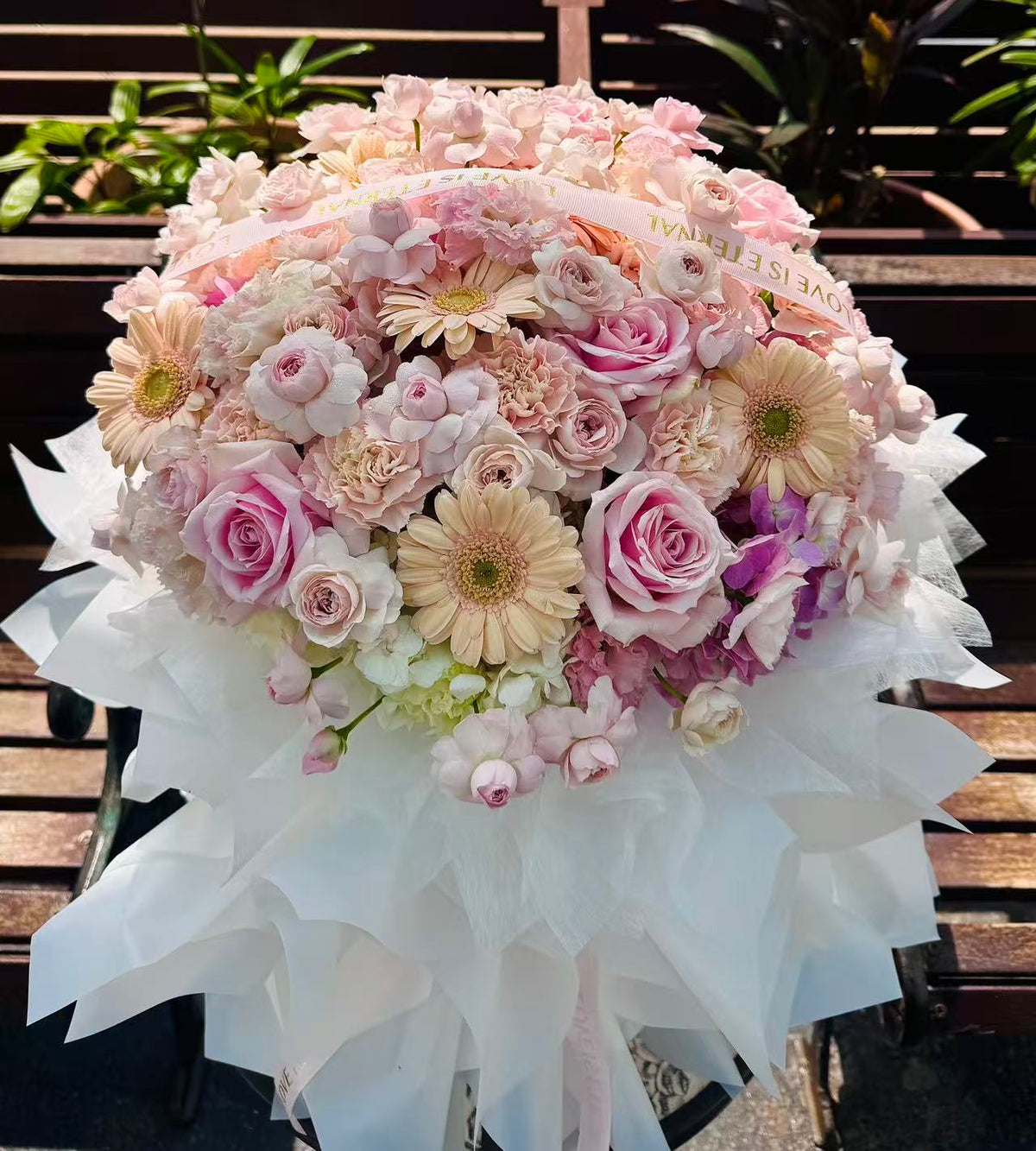 La Vie en Rose