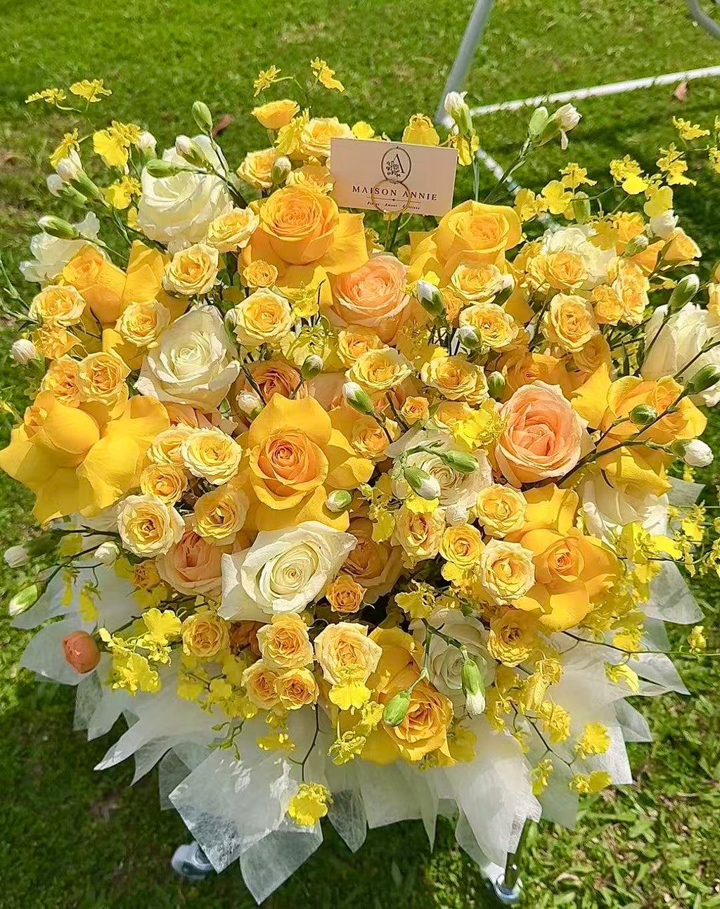 Golden Radiance