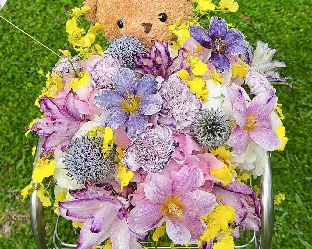 Teddy’s Garden