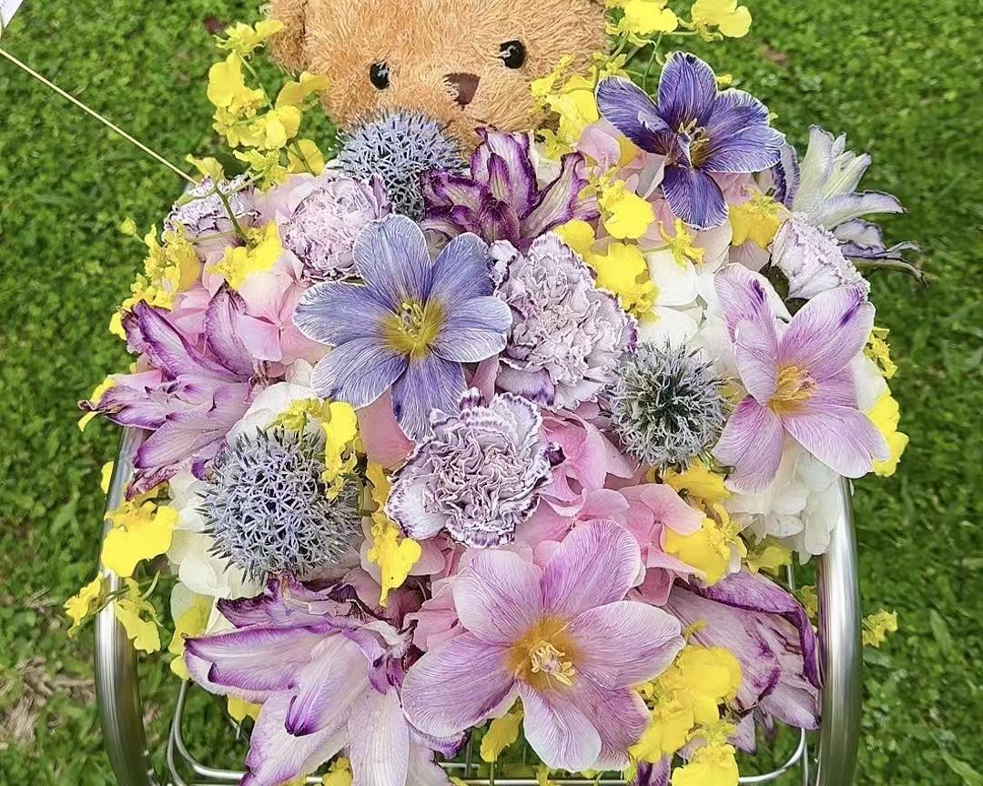 Teddy’s Garden