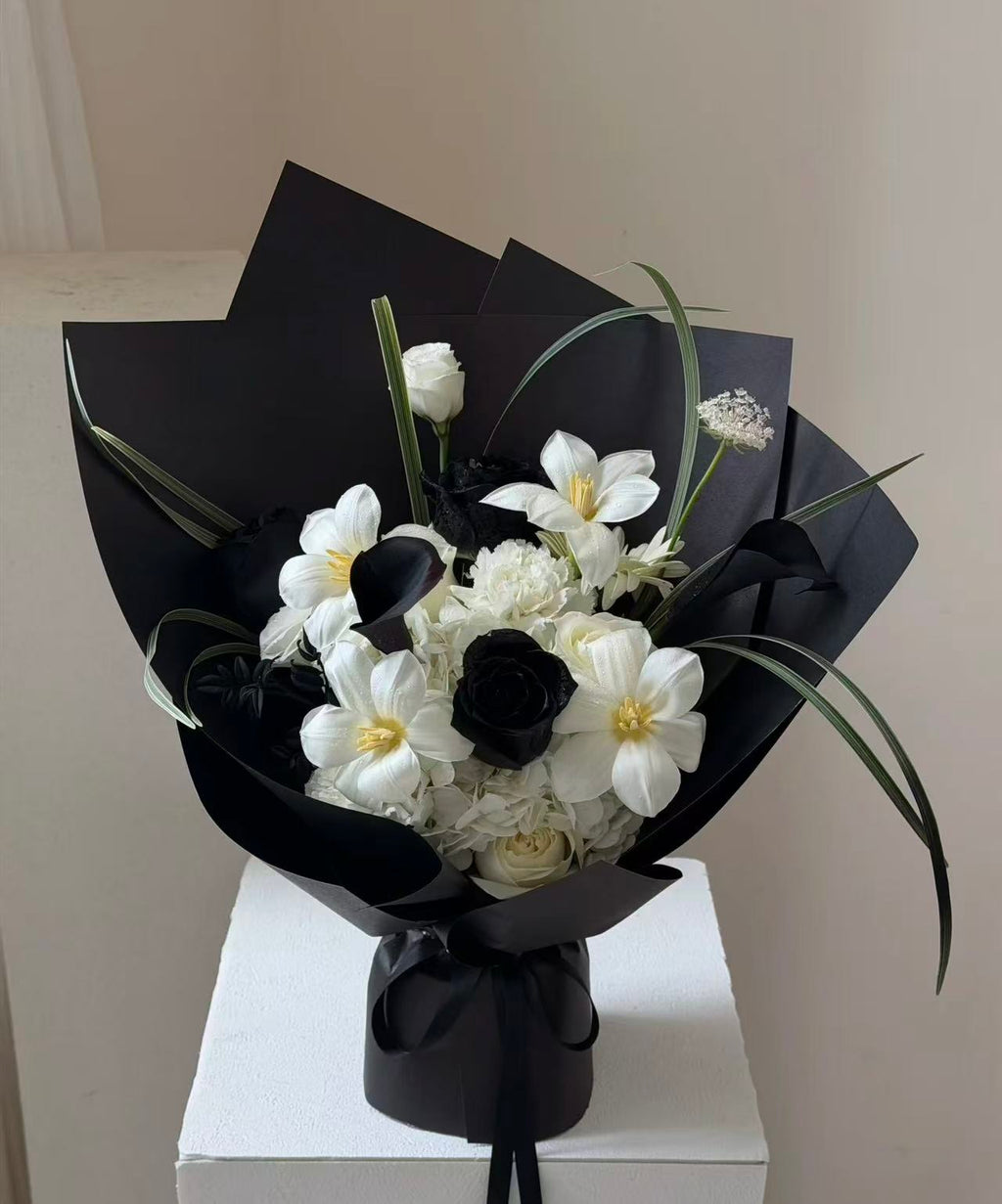 Noir & Ivory