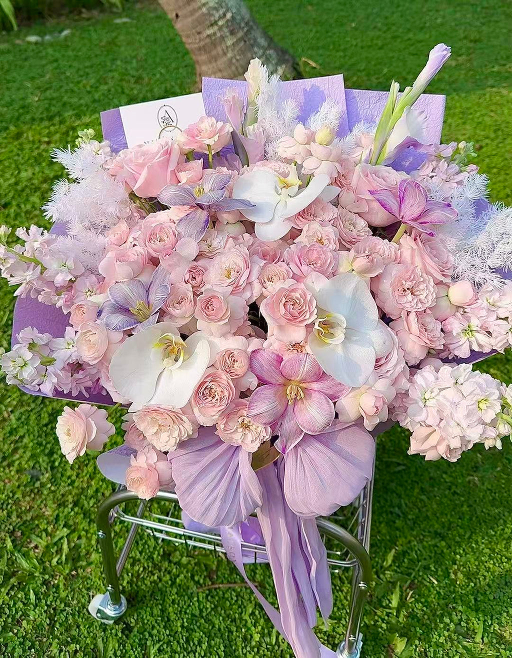 Lavender Blush