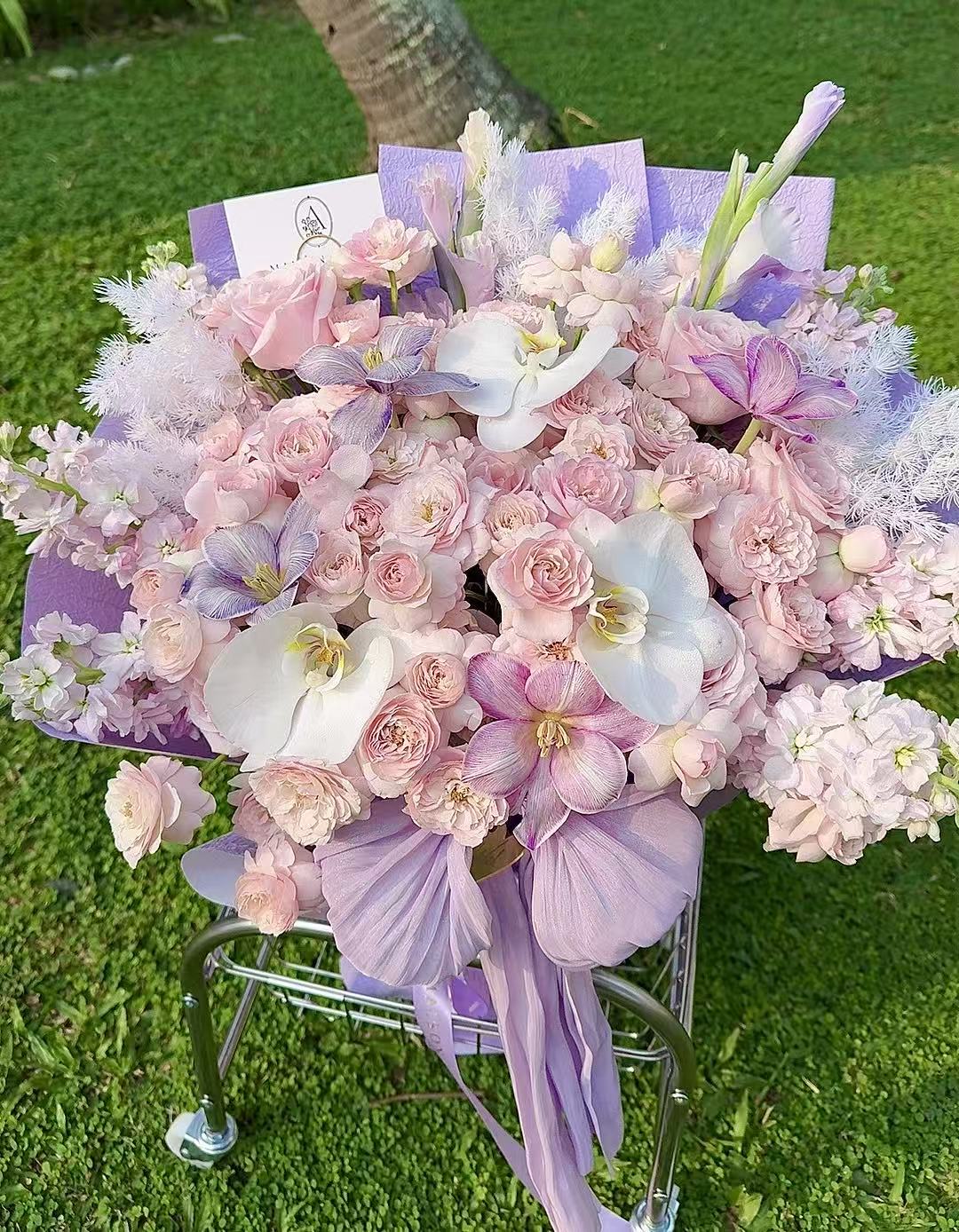 Lavender Blush