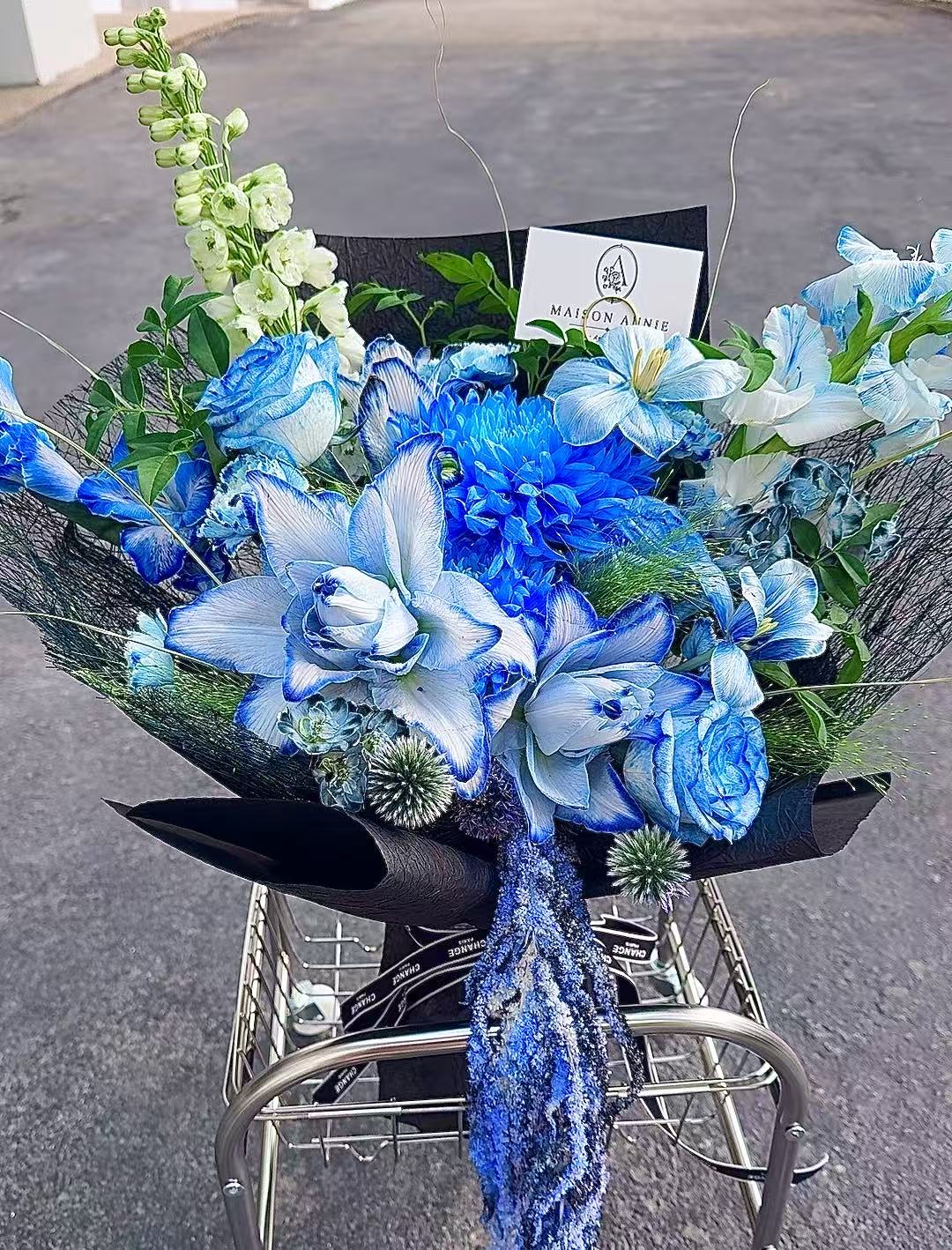 Ciel Bleu