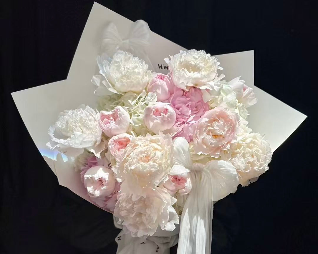 Pearl Blush Peony