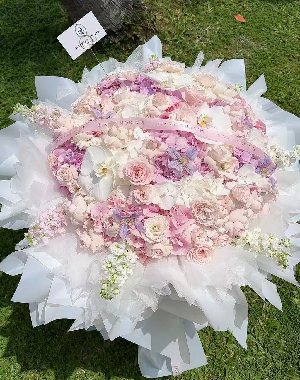 Blush Éclat