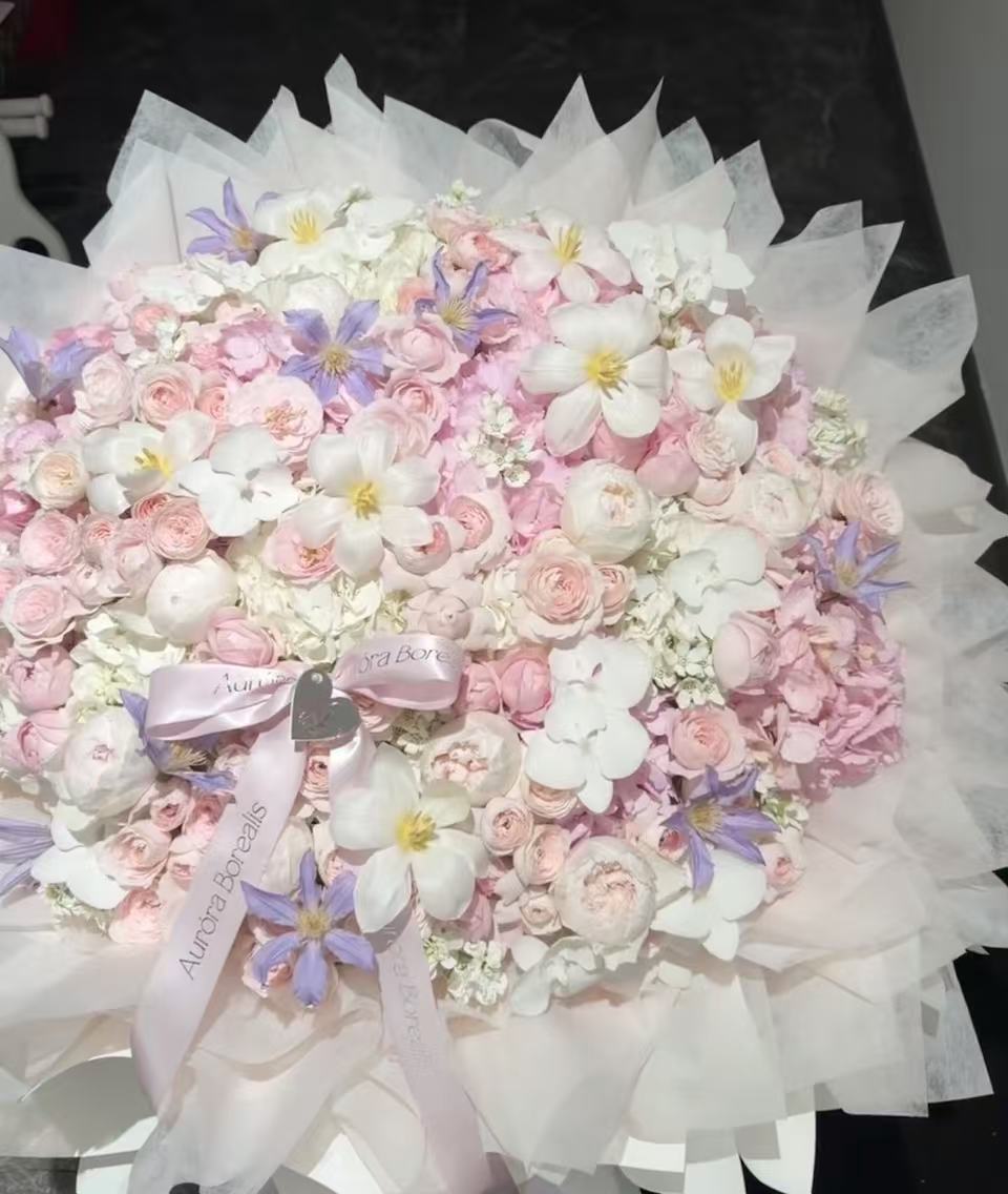 Aurora Borealis