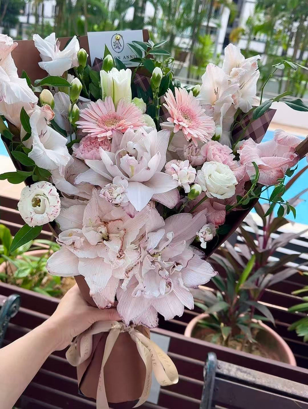 Rosé Lumière