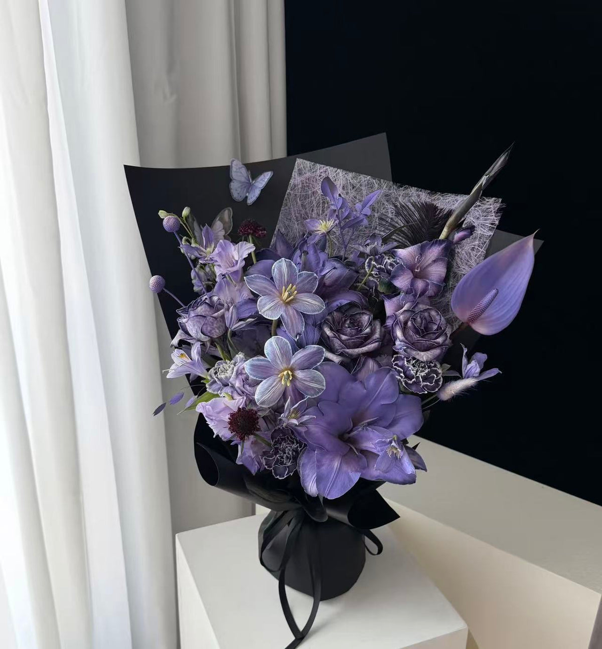 Violet Nocturne