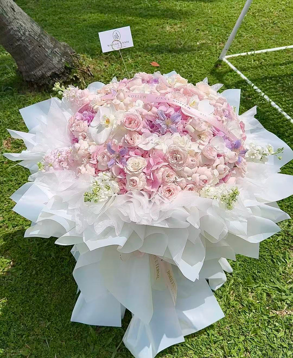 Blush Éclat