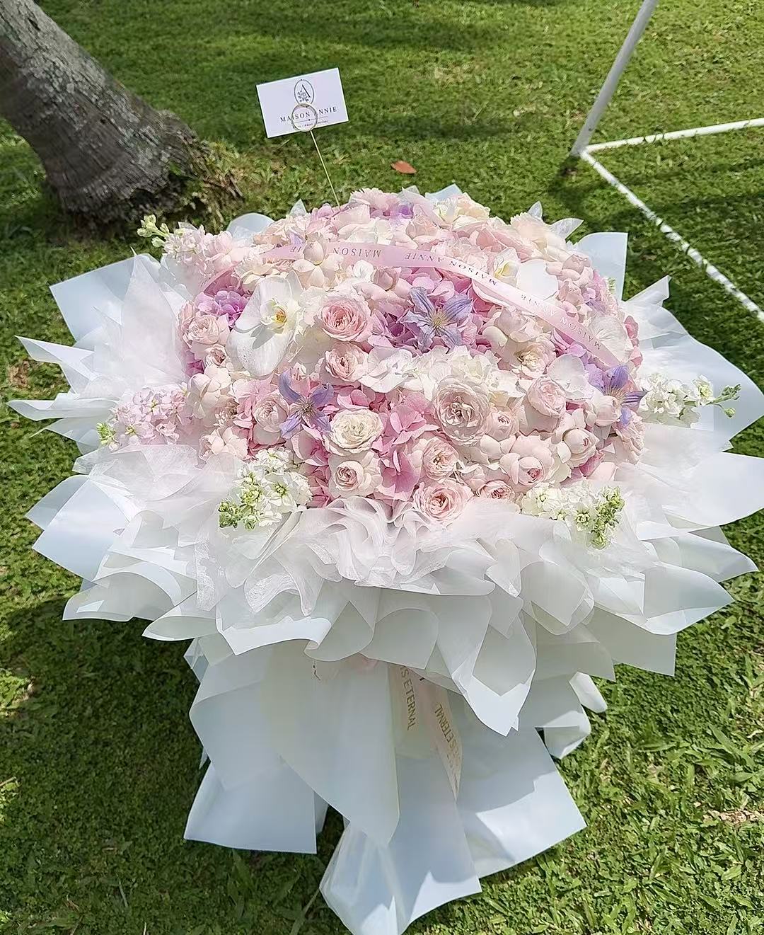 Blush Éclat