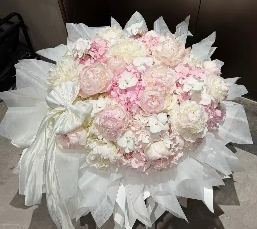 Blush Peony Dream