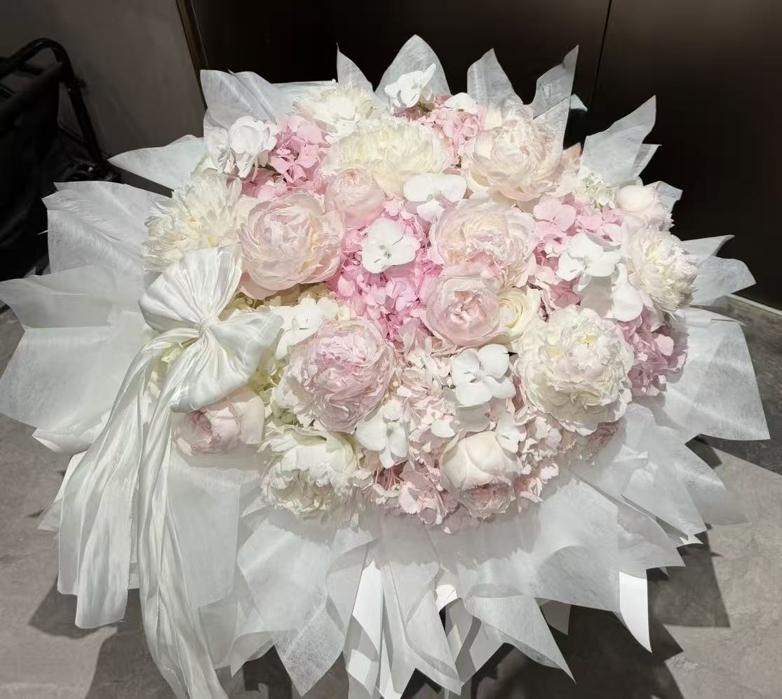 Blush Peony Dream