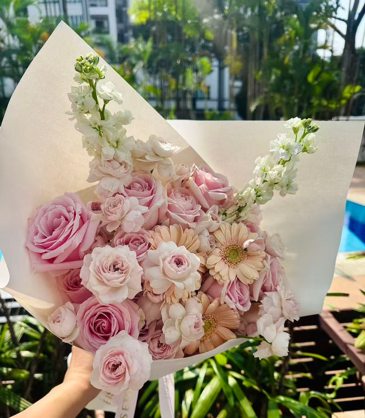 Blush Morning