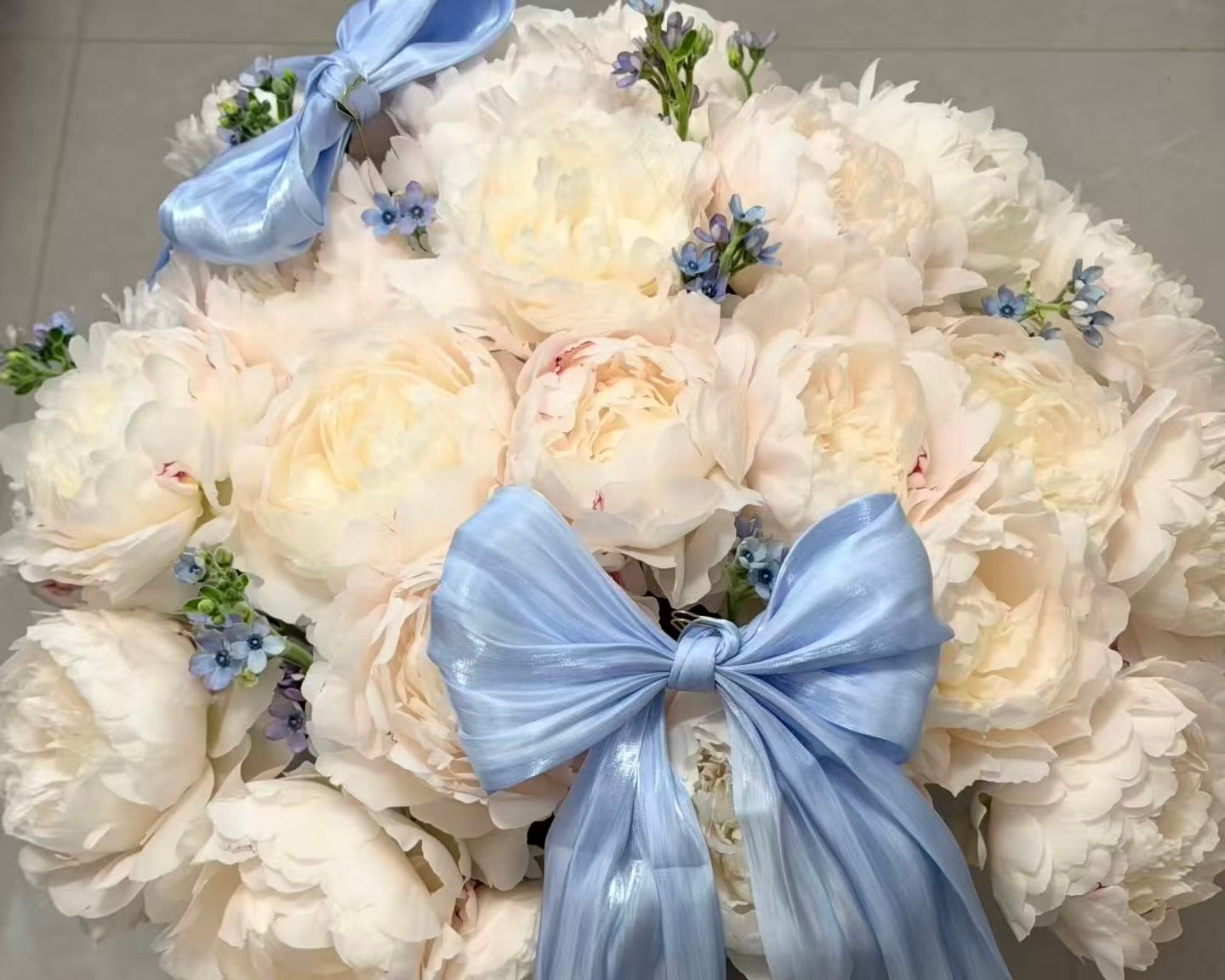 Blue Ribbon Peony Cloud
