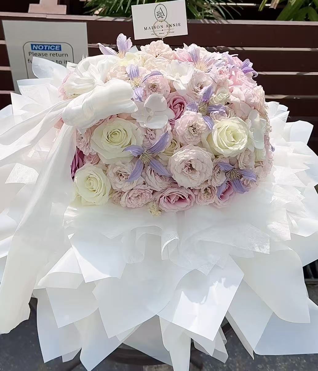 Blush Symphony
