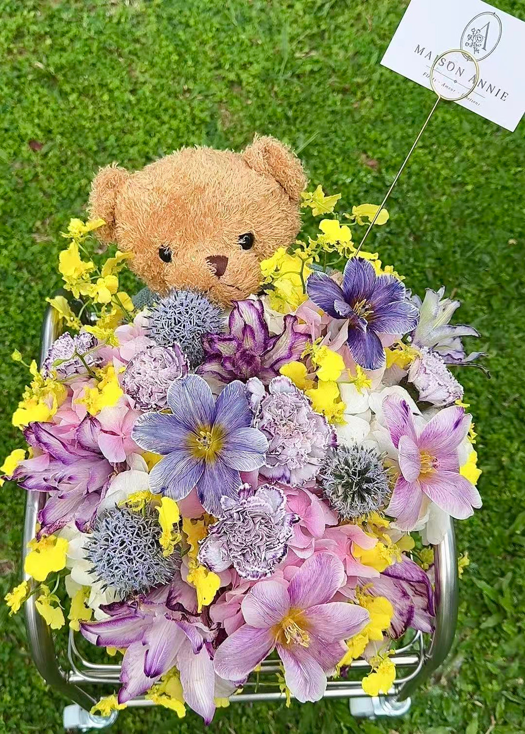 Teddy’s Garden