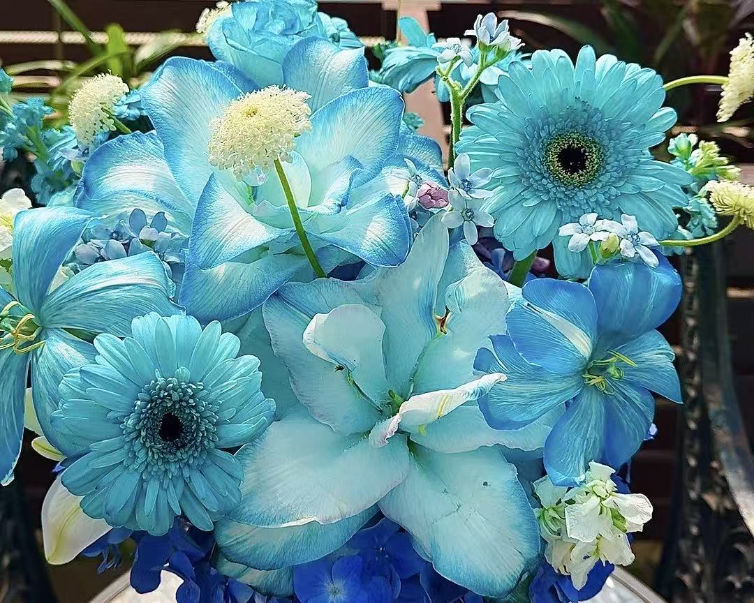 Bleu Éclat