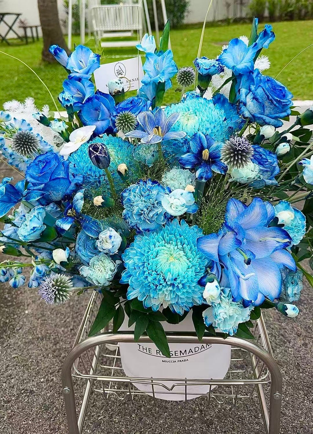 Blue Infinity
