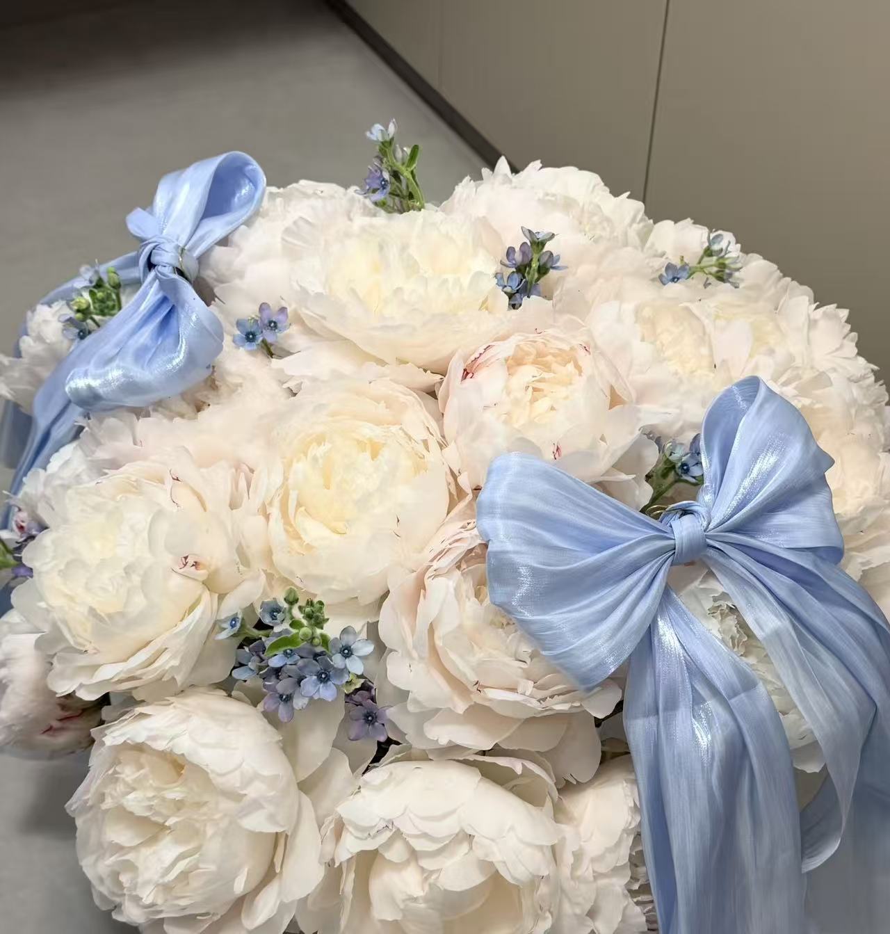 Blue Ribbon Peony Cloud