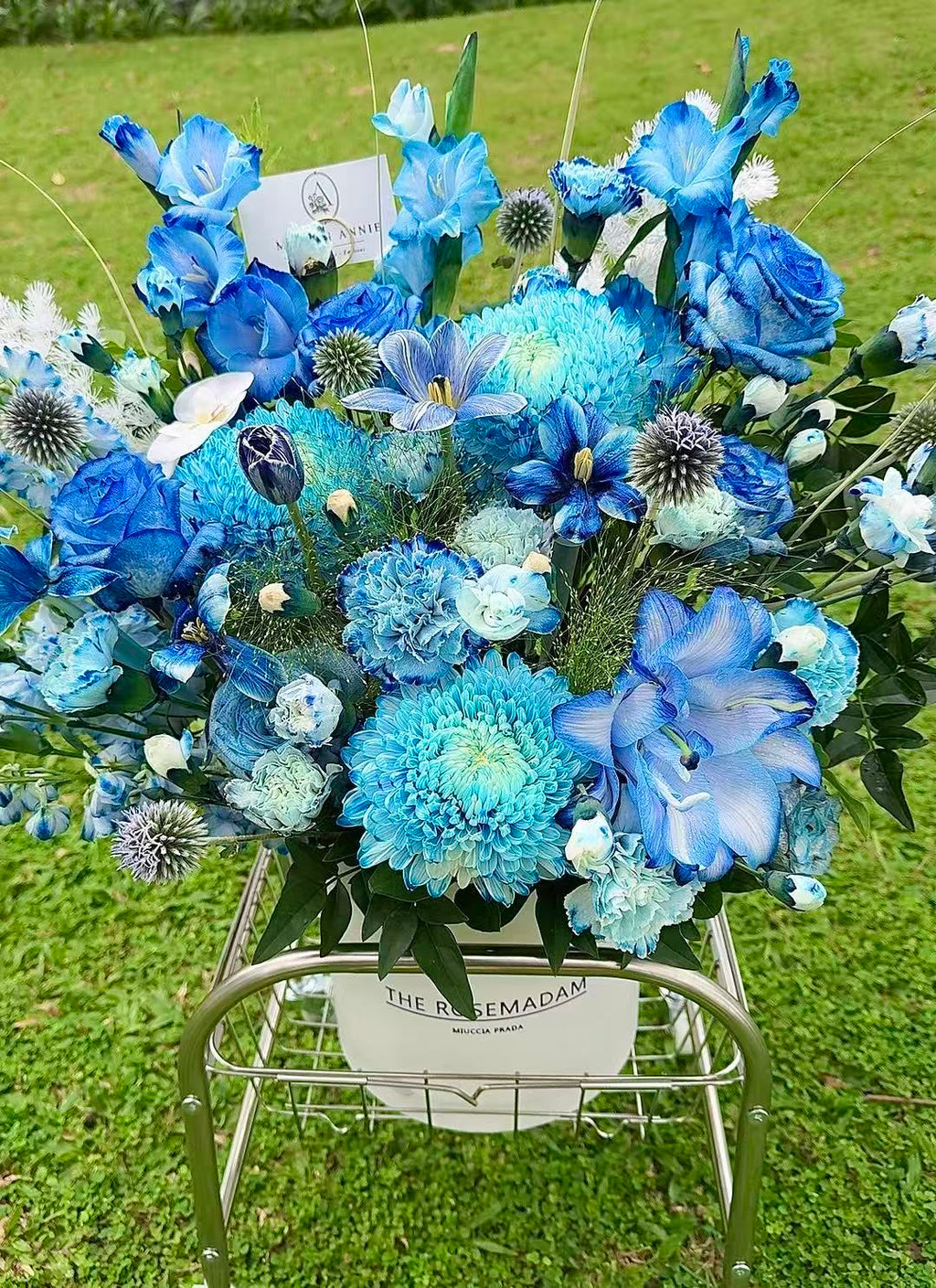 Blue Infinity