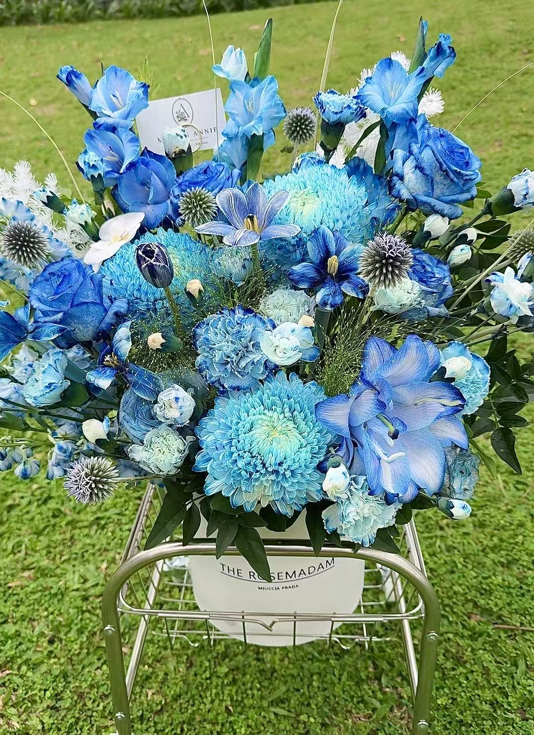 Blue Infinity