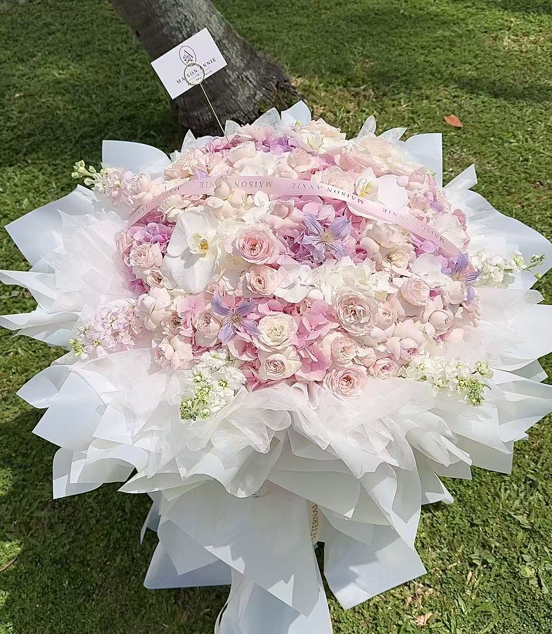 Blush Éclat